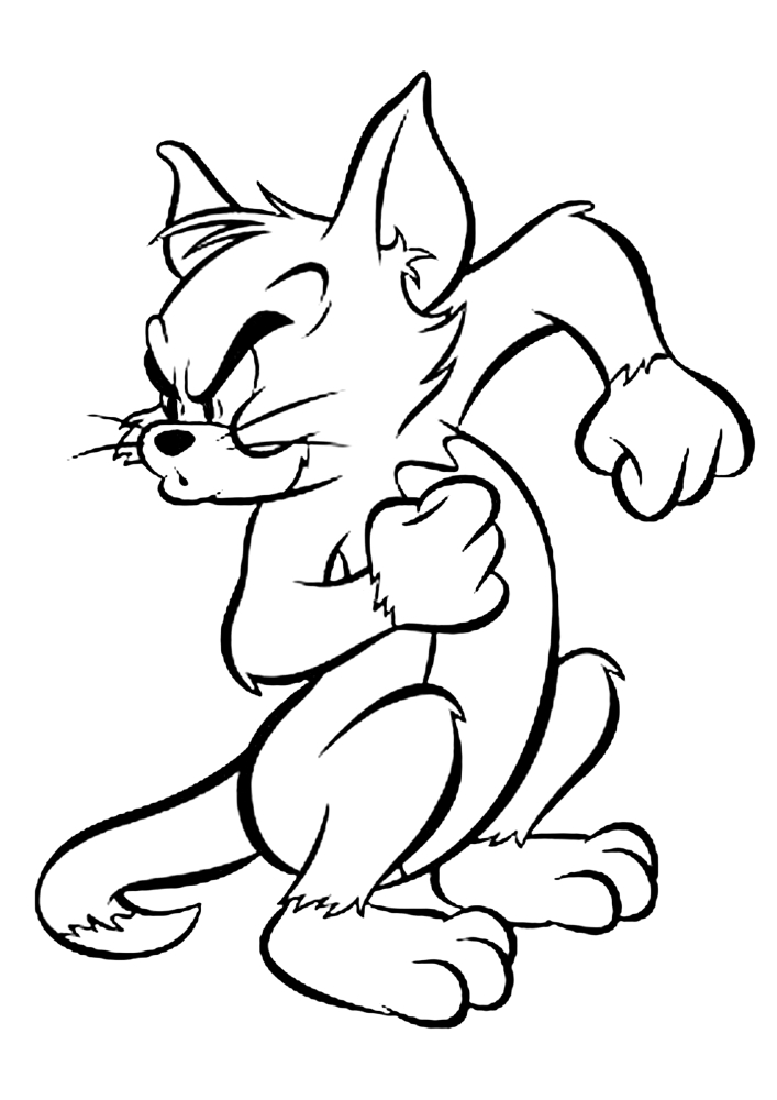 Tom versucht, Jerry zu fangen